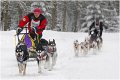 40 - Duel in the snow - DE BONDT WILKIE - belgium